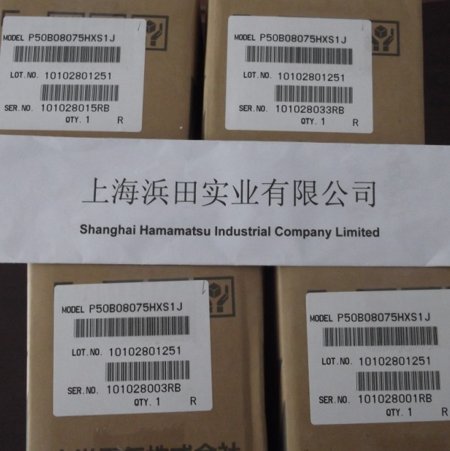 P10B13050BXS00山洋伺服電機(jī) 日本產(chǎn)品